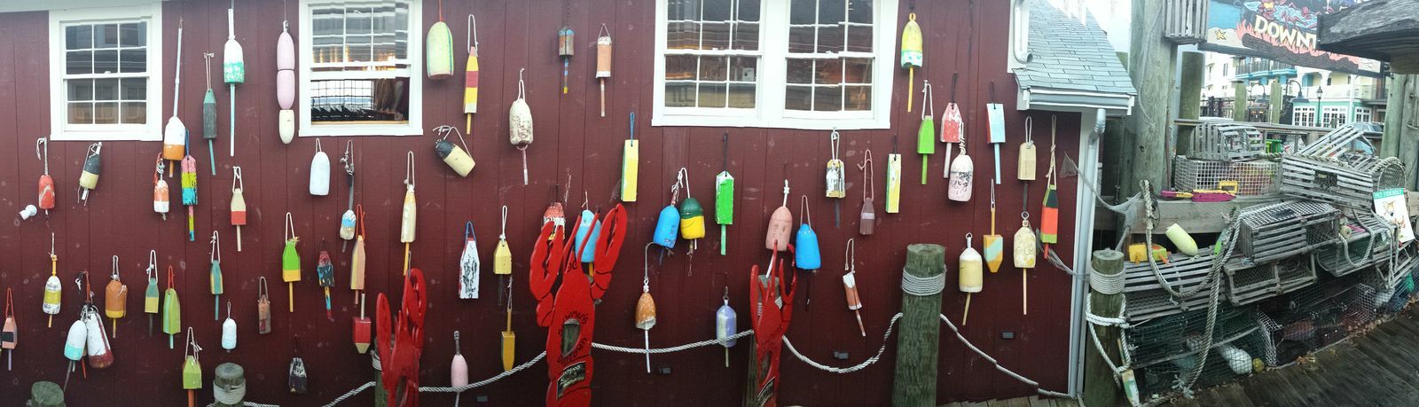 Click to See Next Image